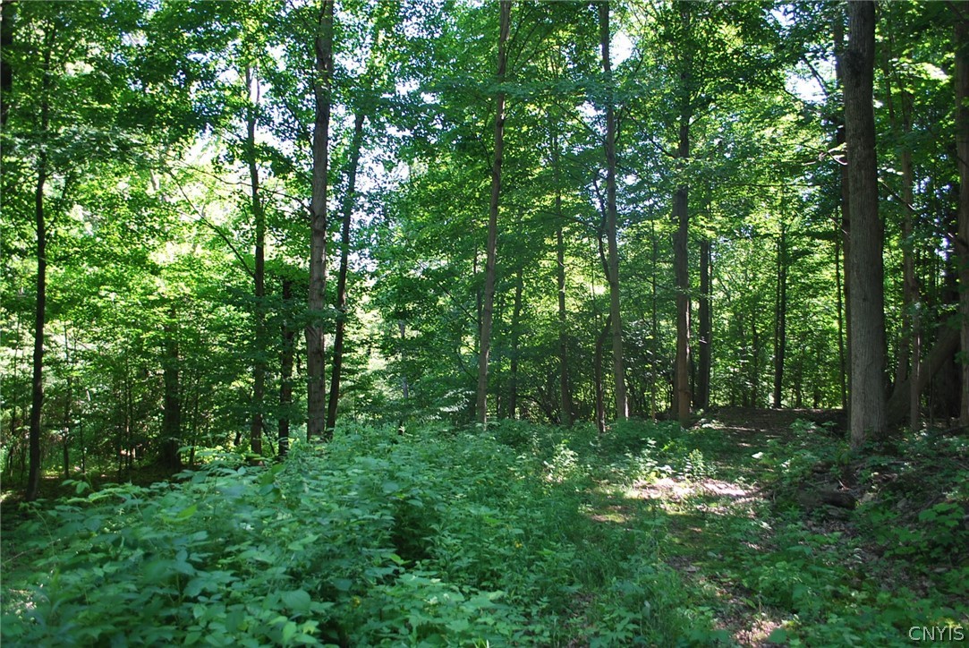 176 Ladd Road Mexico, NY 13114 - Photo 20 of 29