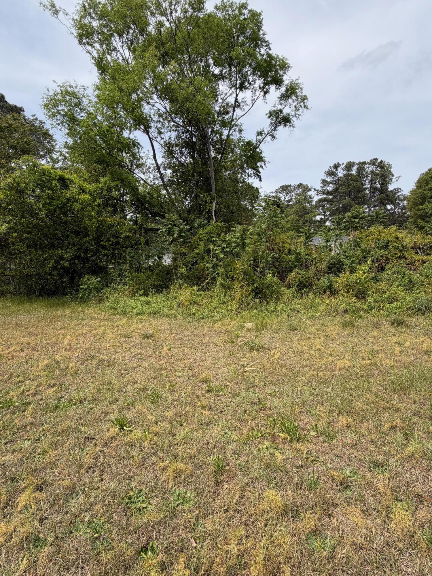 3508 Davis Drive Augusta, GA 30906 - Photo 3 of 3 Part of lot on the other side of Davis.