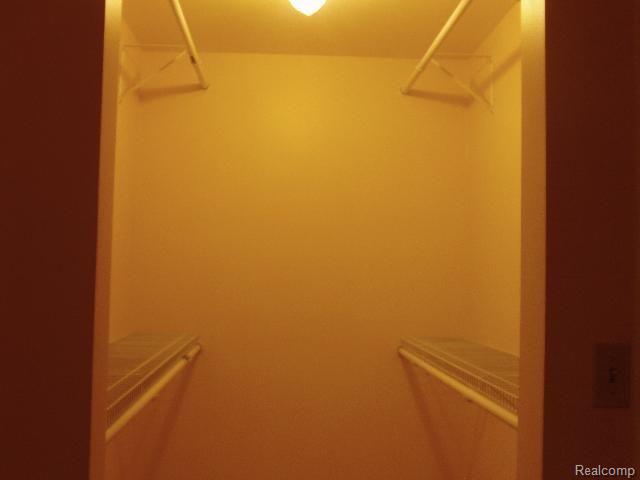 2630 Tozer Road North Branch, MI 48461 - Photo 10 of 24 Mstr Closet