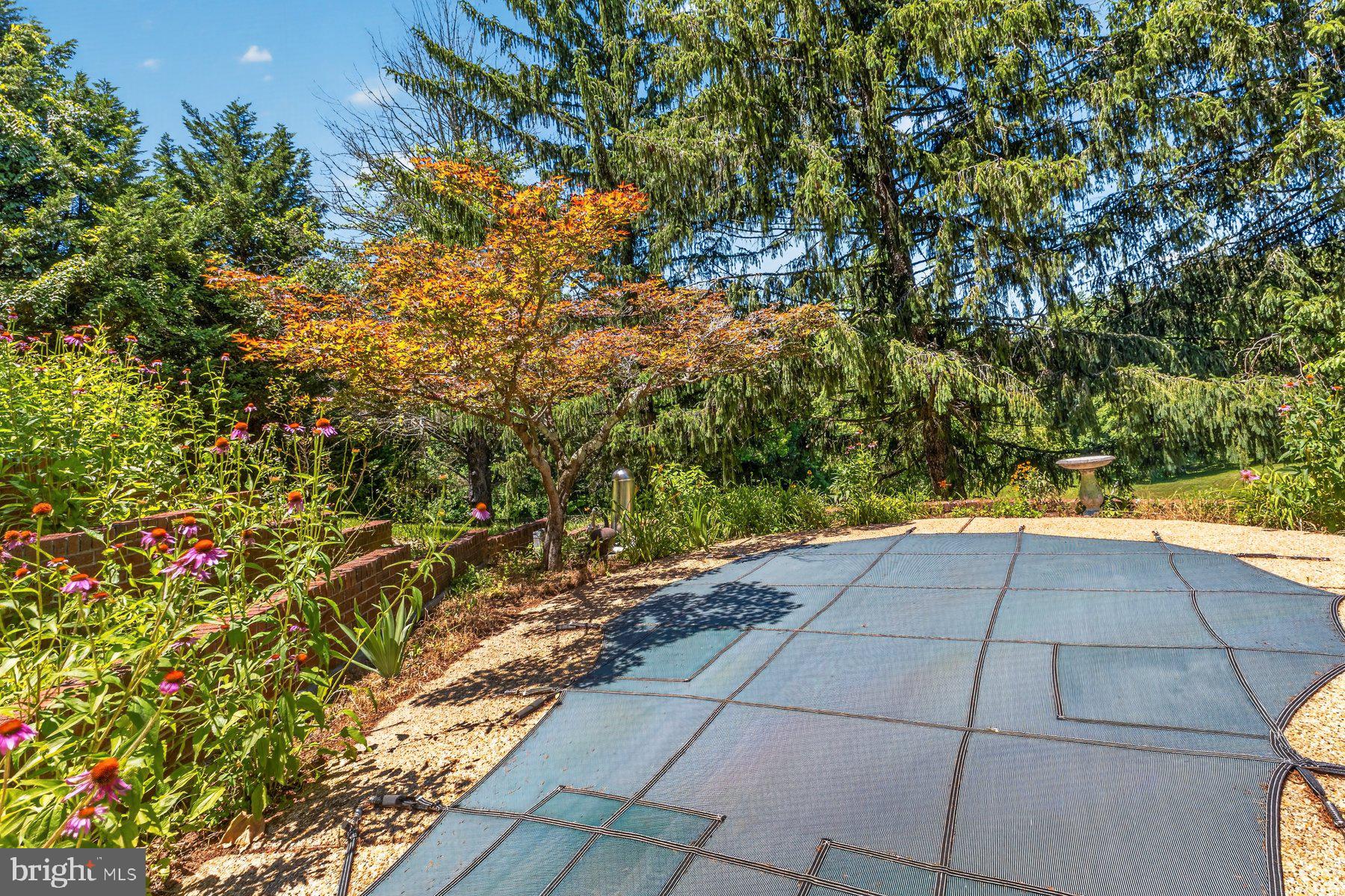 328 Sansbury Road Friendship, MD 20758 - Photo 11 of 35 Large In-Ground Jacuzzi Pool As Is