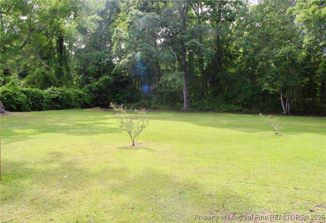 3253 Meadow Road Lumberton, NC 28358 - Photo 9 of 33 Gallery Image 9