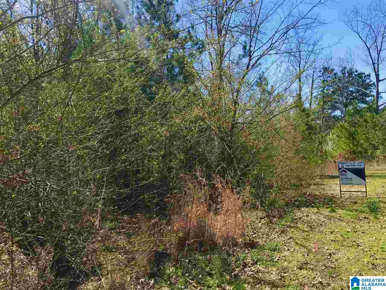 0 Teem Road, Unit 32A Cullman, AL 35057 - Photo 3 of 14
