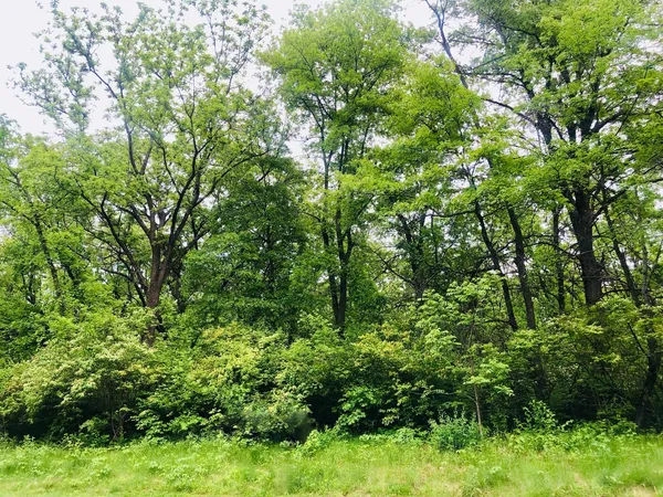 $83,900 | 704 Echo (lot 21) Trail, Marengo, IL 60152