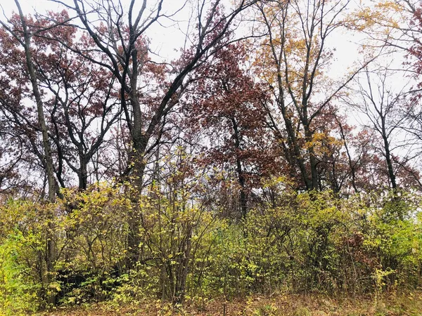 $83,900 | 704 Echo (lot 21) Trail, Marengo, IL 60152