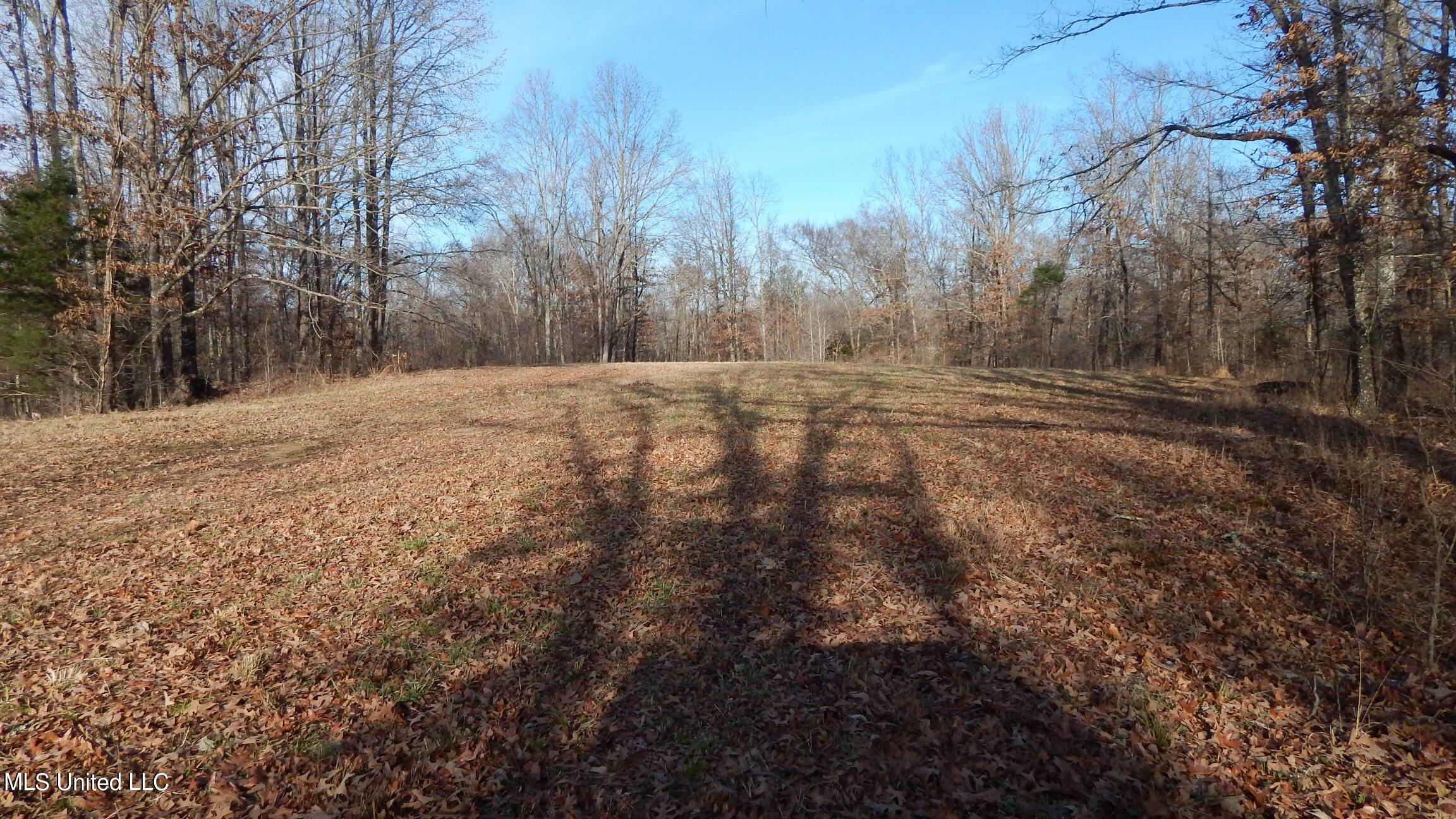 388 Kelly Crossing Road Coldwater, MS 38618 - Photo 11 of 39 1aKelly Crossing 388 034