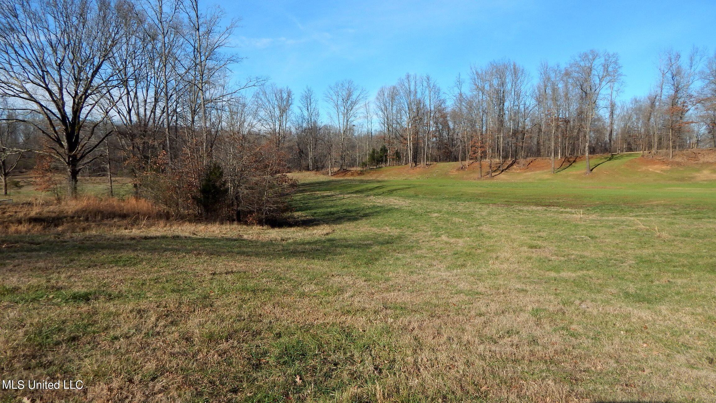 388 Kelly Crossing Road Coldwater, MS 38618 - Photo 14 of 39 1aKelly Crossing 388 003