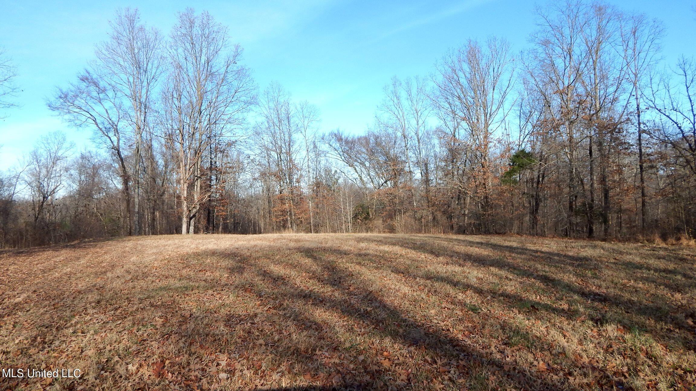 388 Kelly Crossing Road Coldwater, MS 38618 - Photo 21 of 39 1aKelly Crossing 388 009
