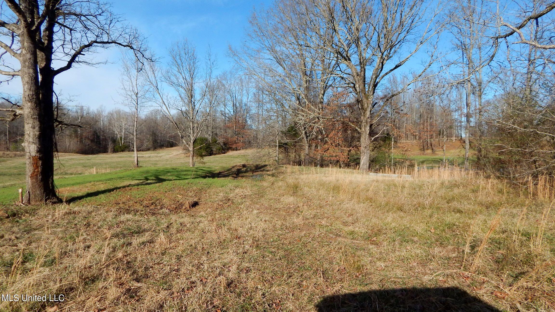 388 Kelly Crossing Road Coldwater, MS 38618 - Photo 25 of 39 1aKelly Crossing 388 023