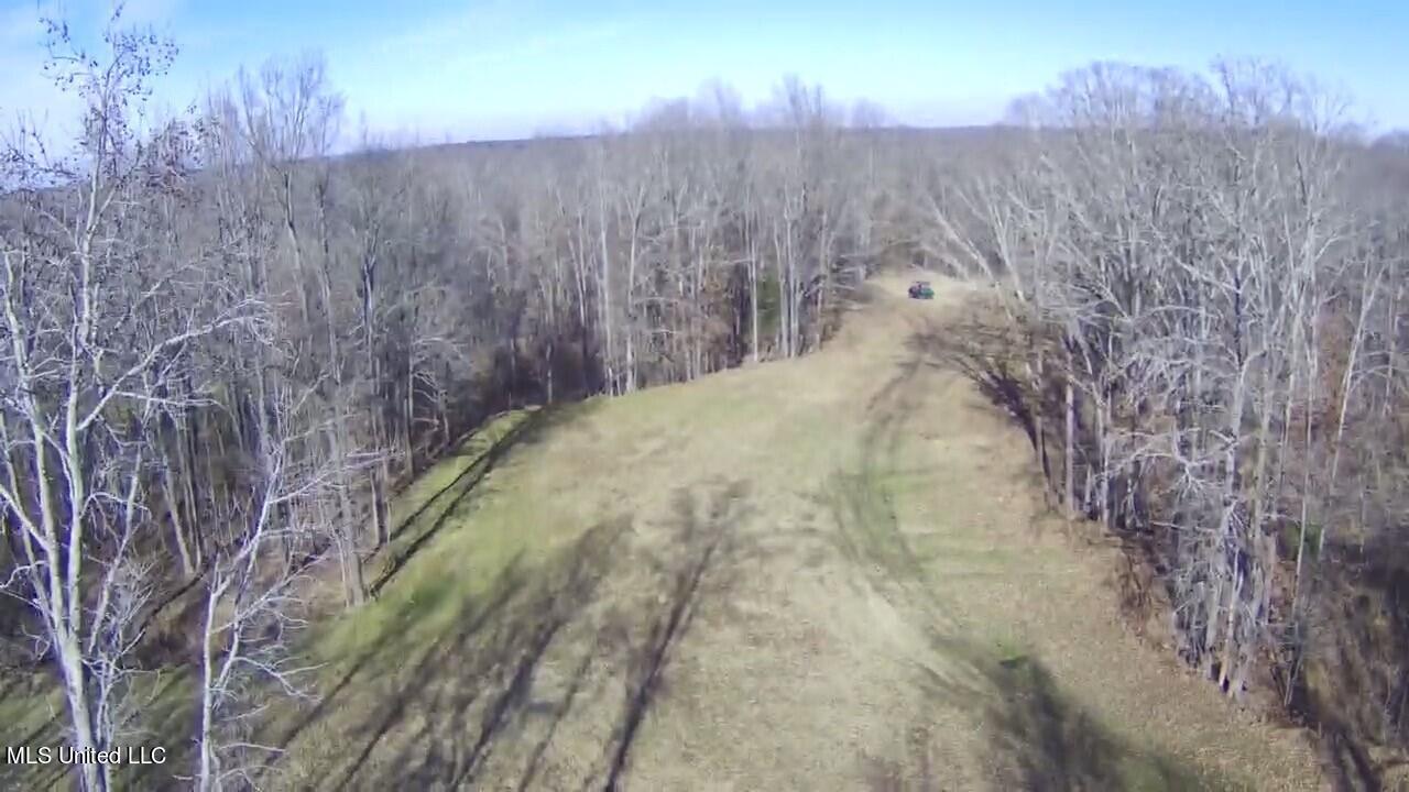 388 Kelly Crossing Road Coldwater, MS 38618 - Photo 3 of 39 1