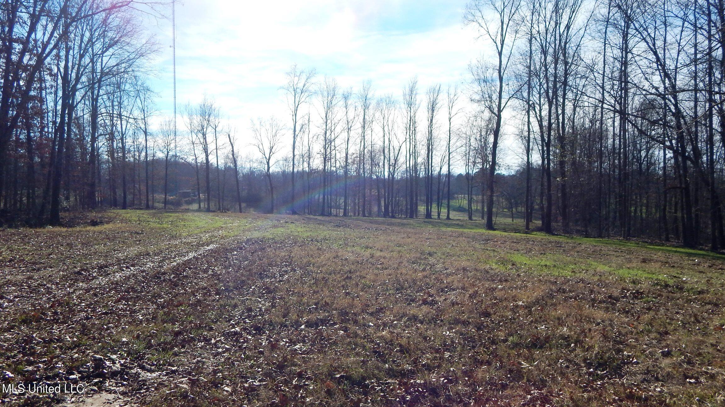 388 Kelly Crossing Road Coldwater, MS 38618 - Photo 10 of 39 1aKelly Crossing 388 014