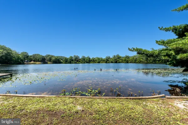 a view of a lake with houses in the background