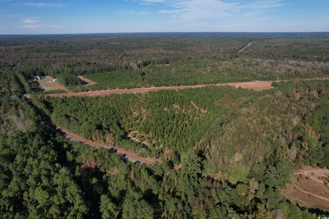 $449,900 | Tbd Sand Plant Road, Nichols, SC 29581