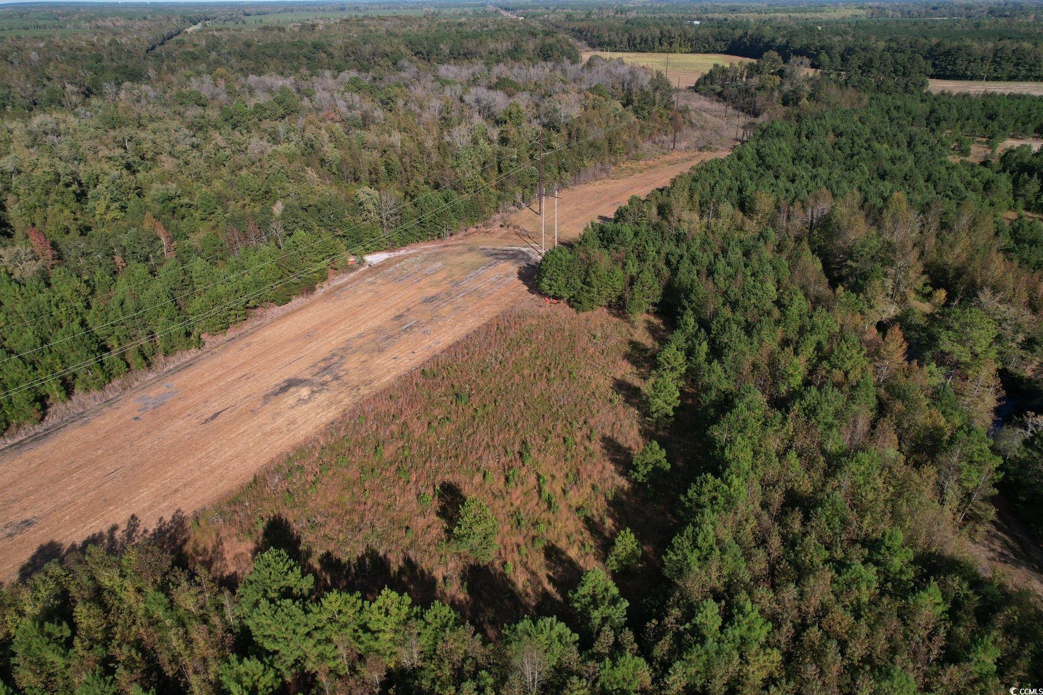 Tbd Sand Plant Road Nichols, SC 29581 - Photo 11 of 39