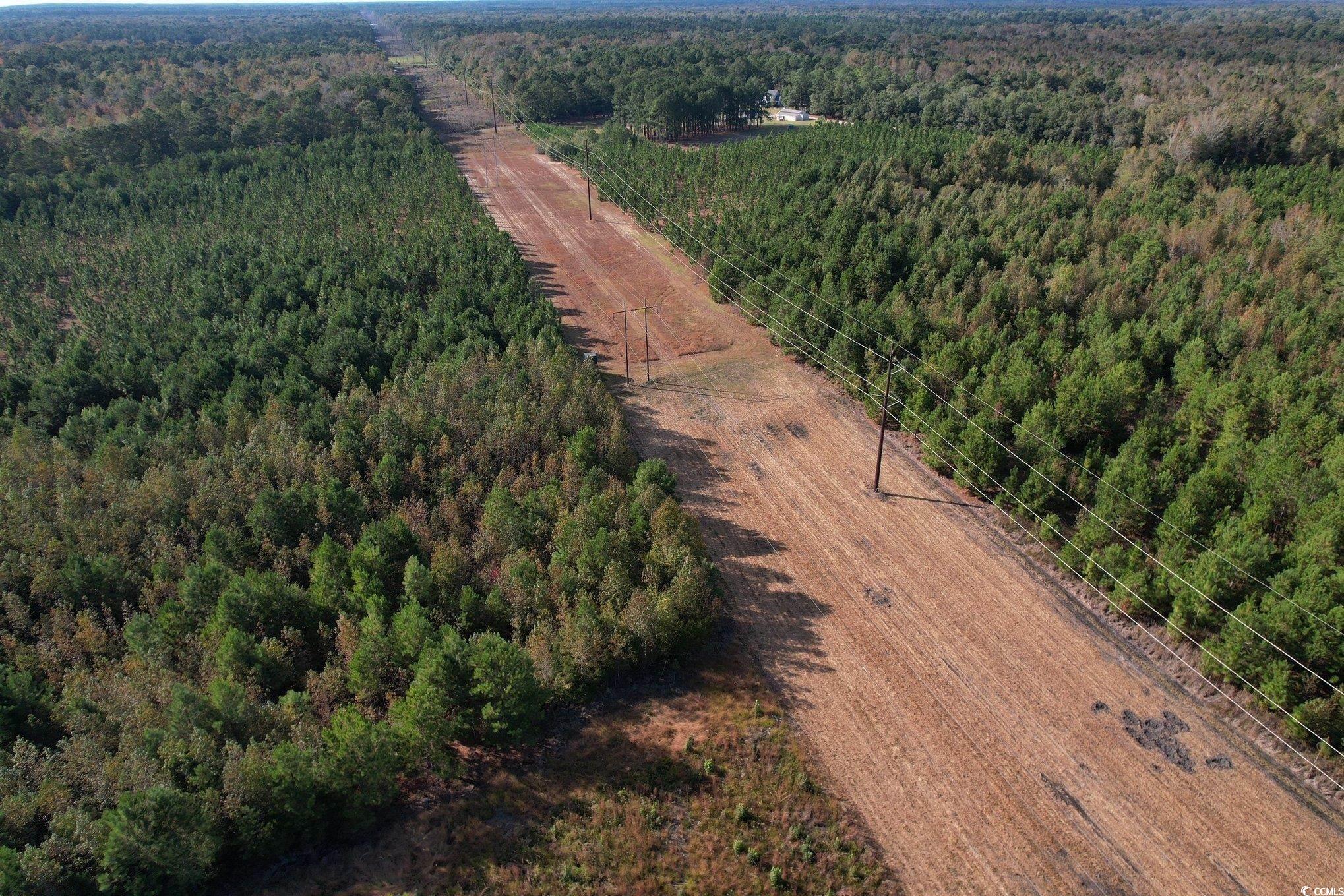 Tbd Sand Plant Road Nichols, SC 29581 - Photo 12 of 39