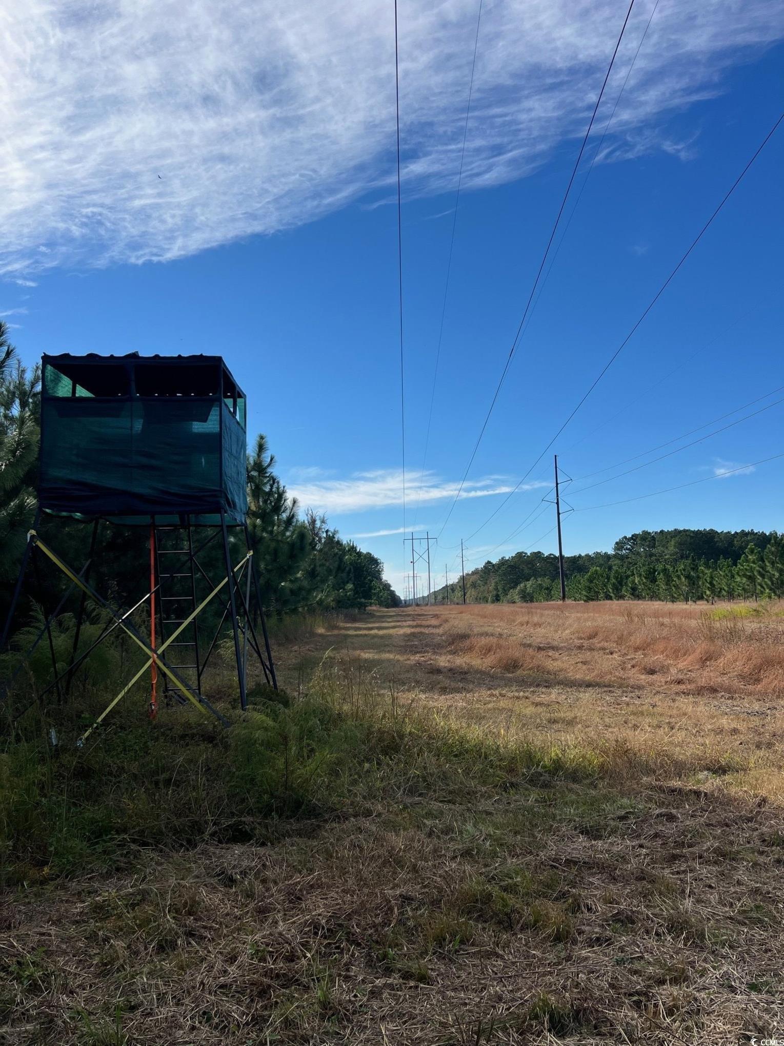 Tbd Sand Plant Road Nichols, SC 29581 - Photo 13 of 39
