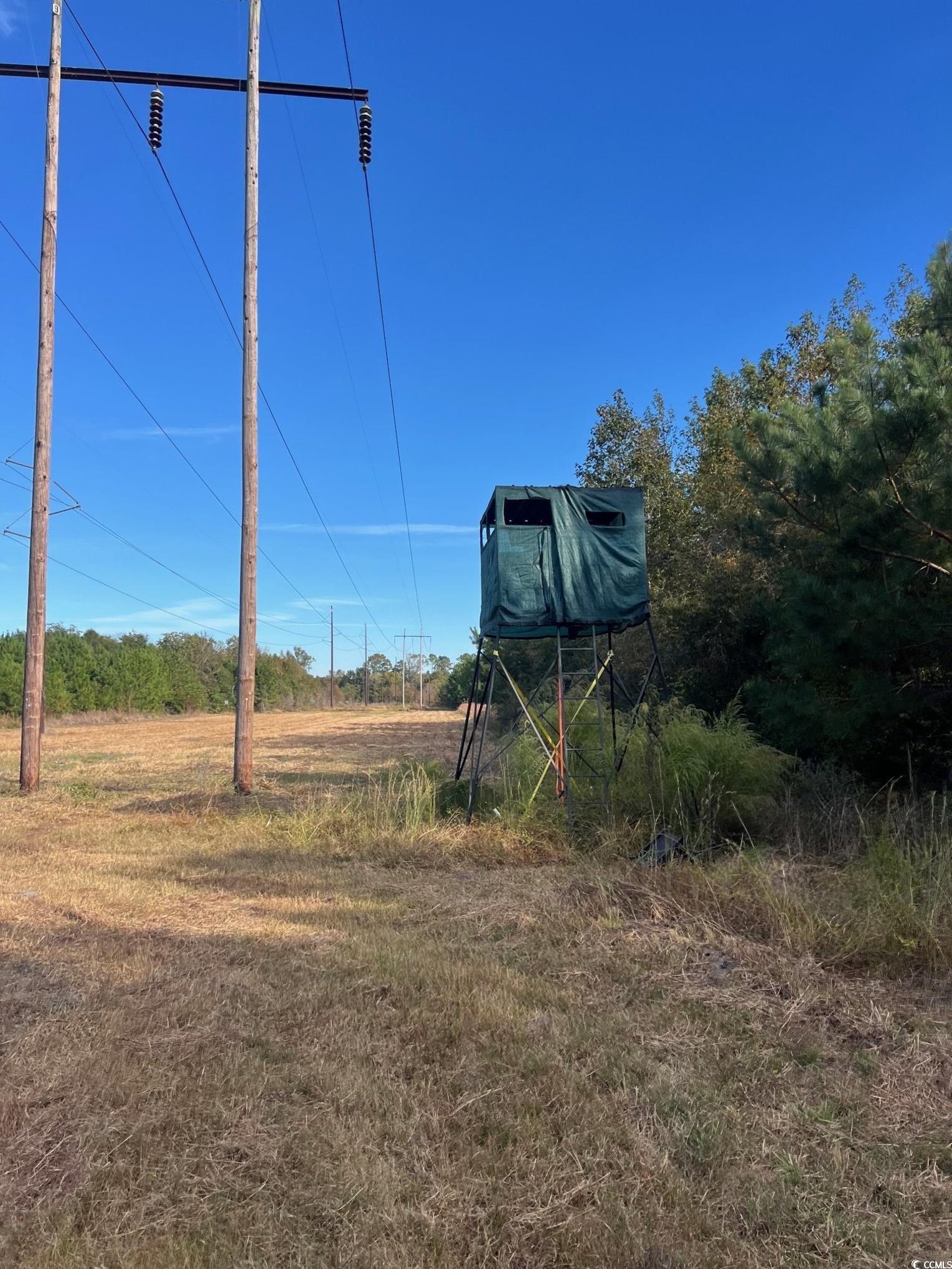 Tbd Sand Plant Road Nichols, SC 29581 - Photo 14 of 39