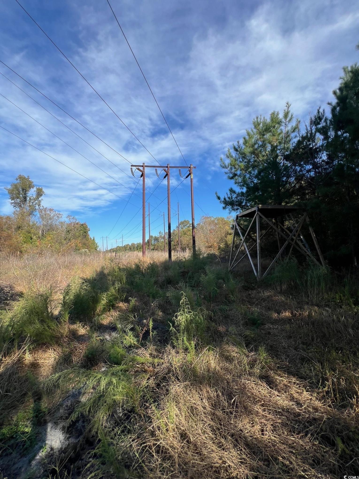 Tbd Sand Plant Road Nichols, SC 29581 - Photo 17 of 39