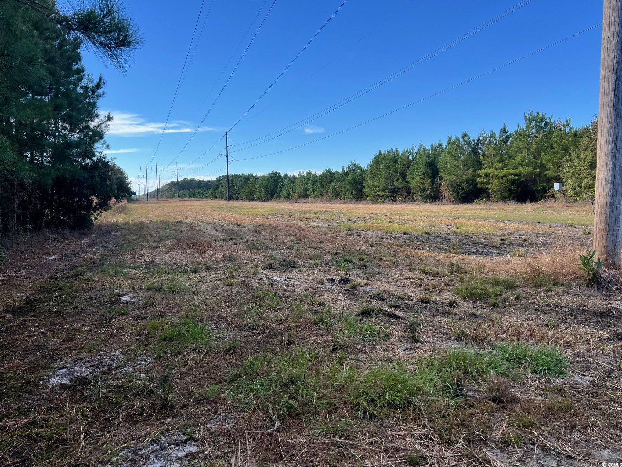 Tbd Sand Plant Road Nichols, SC 29581 - Photo 20 of 39