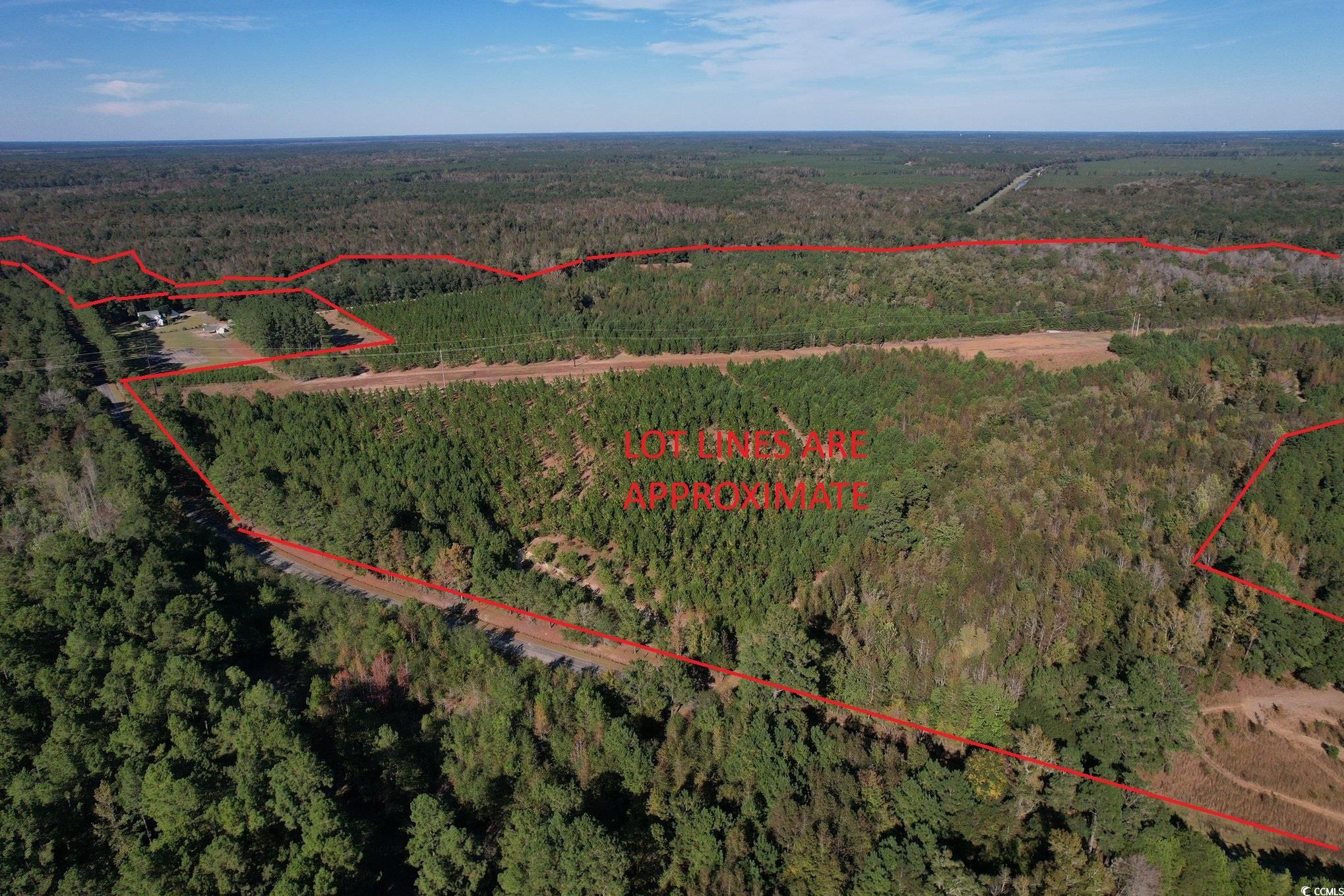 Tbd Sand Plant Road Nichols, SC 29581 - Photo 2 of 39