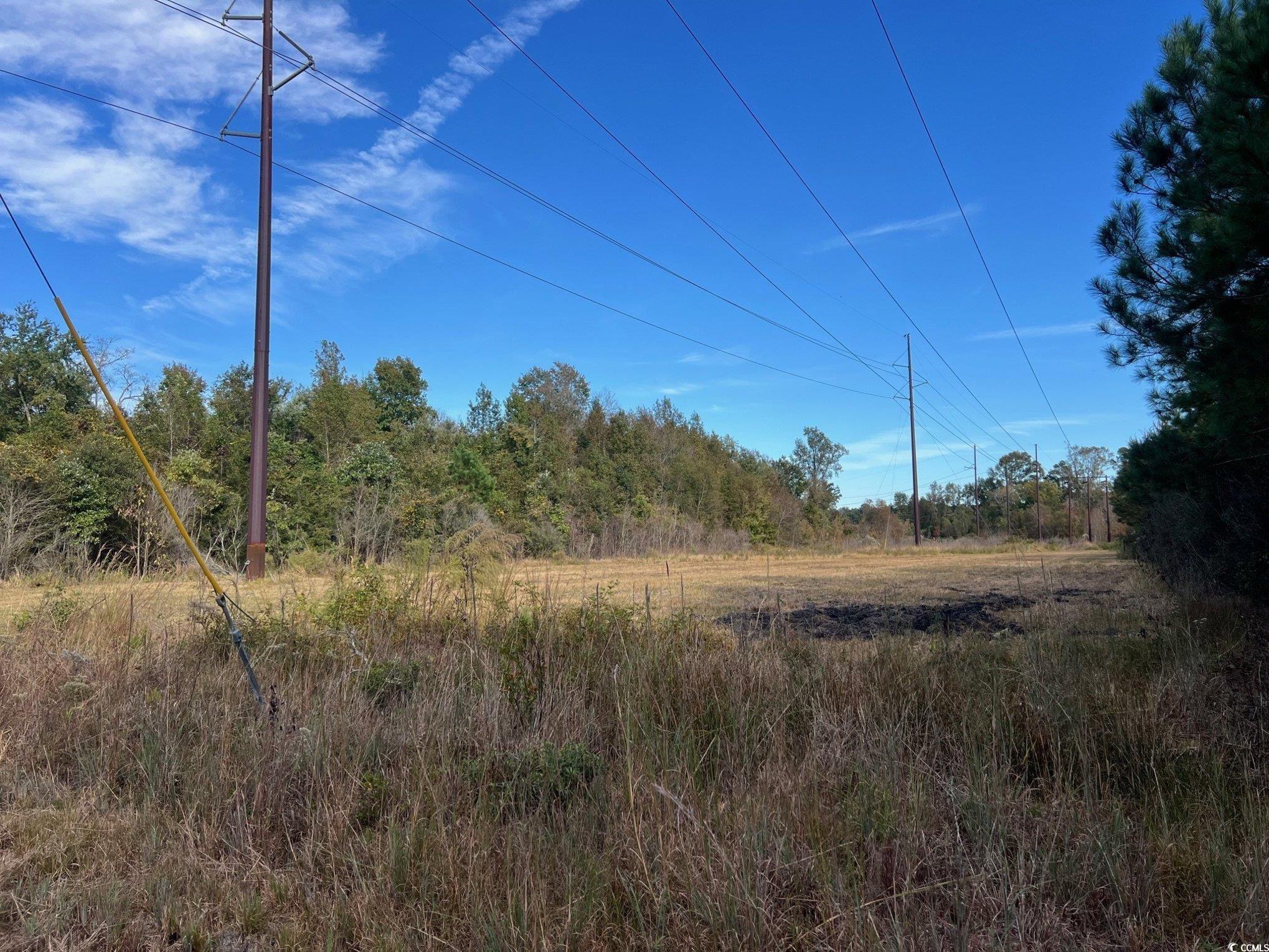 Tbd Sand Plant Road Nichols, SC 29581 - Photo 21 of 39