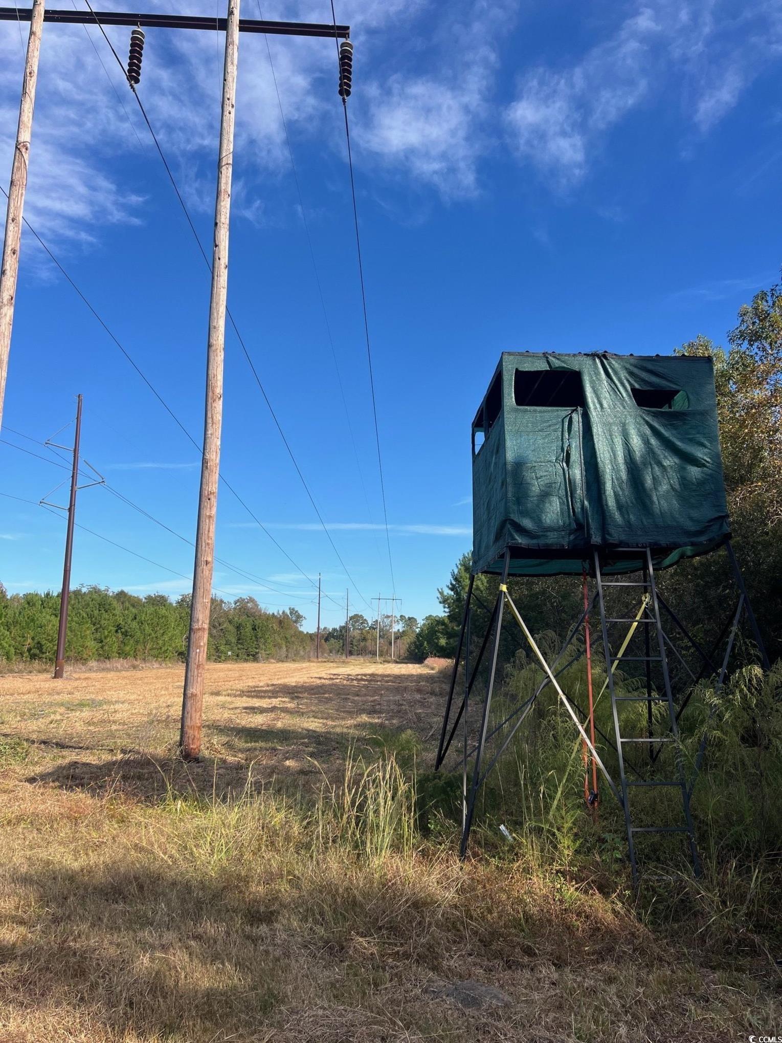Tbd Sand Plant Road Nichols, SC 29581 - Photo 22 of 39