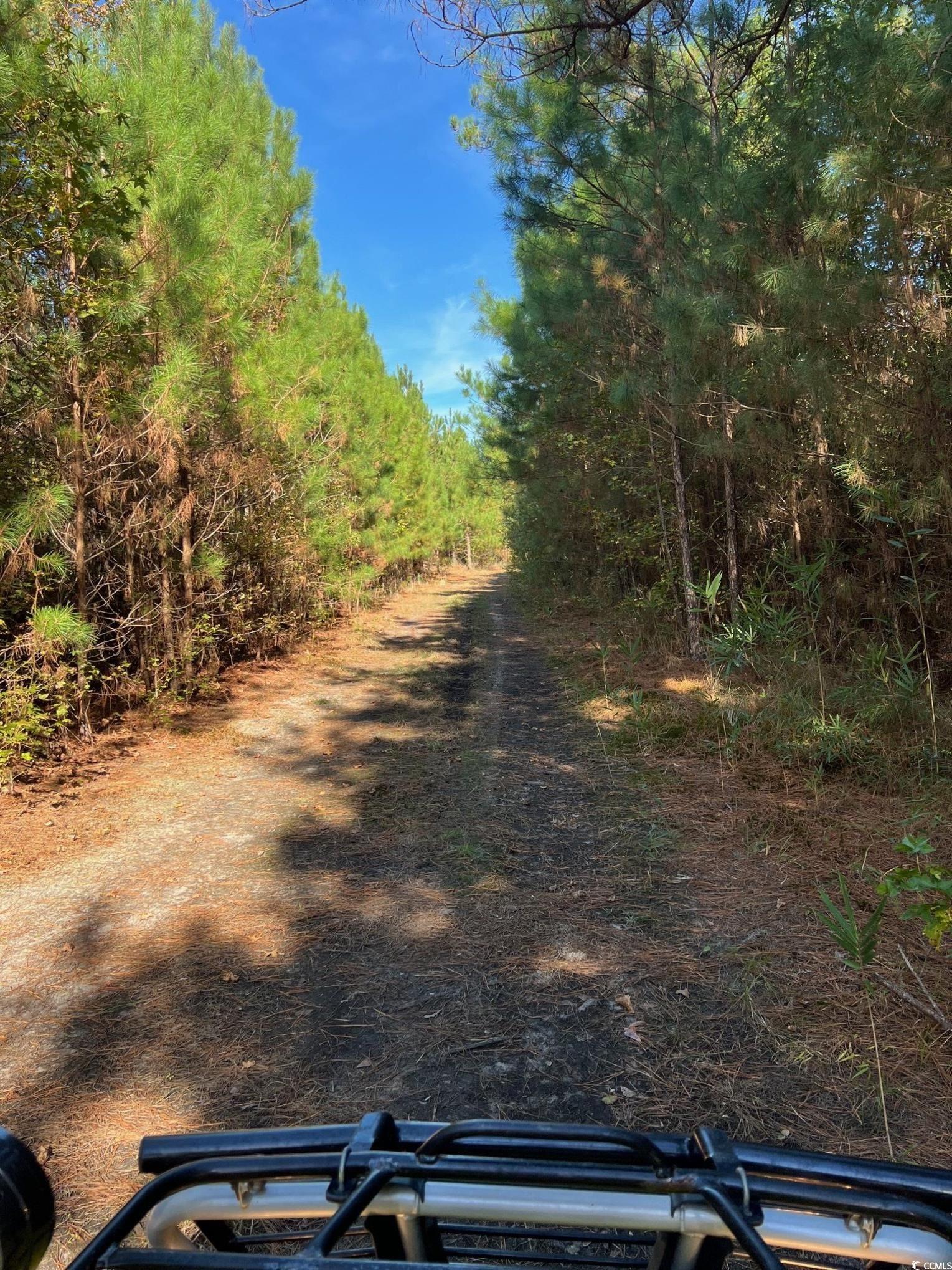 Tbd Sand Plant Road Nichols, SC 29581 - Photo 27 of 39