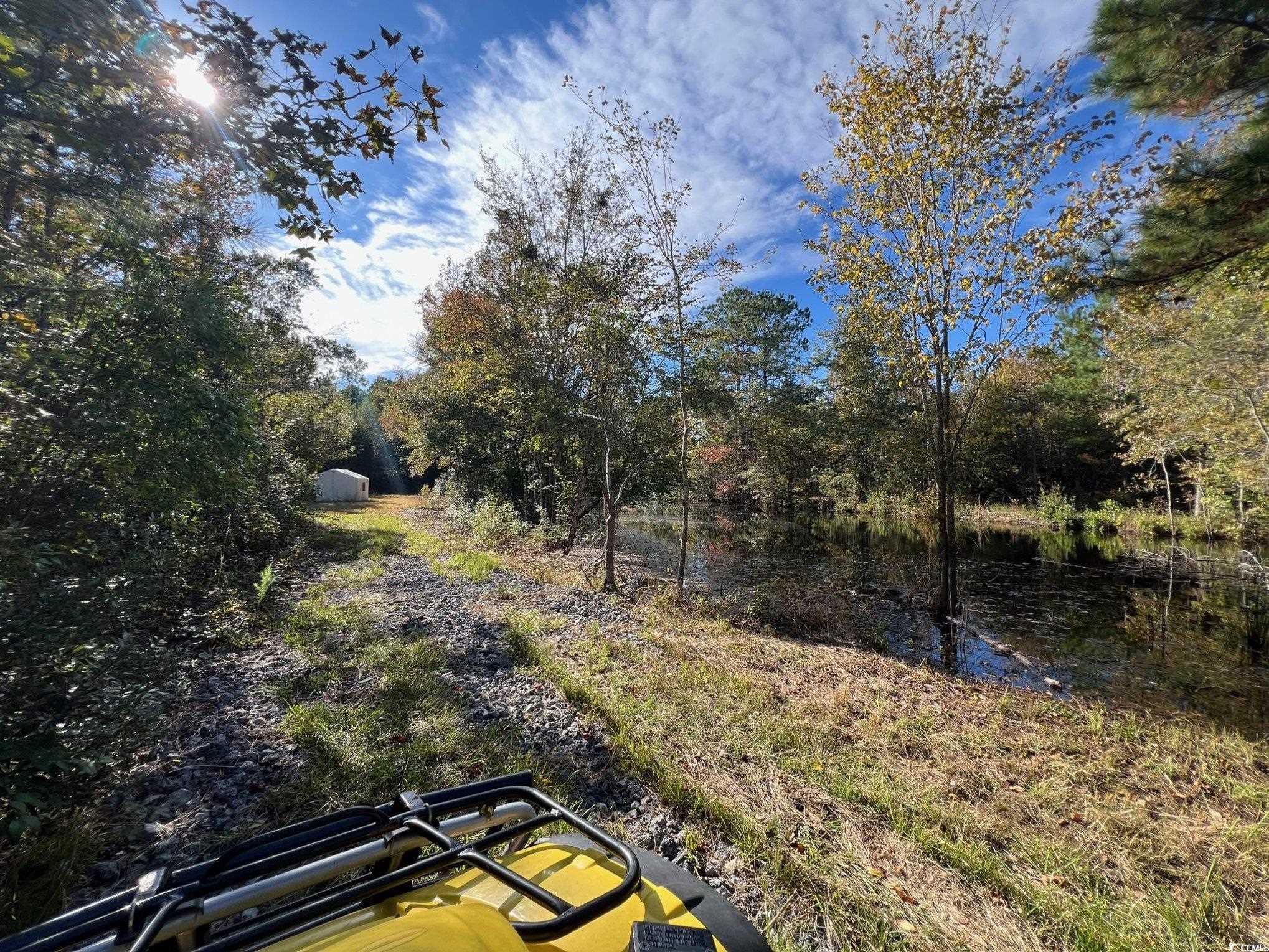 Tbd Sand Plant Road Nichols, SC 29581 - Photo 28 of 39
