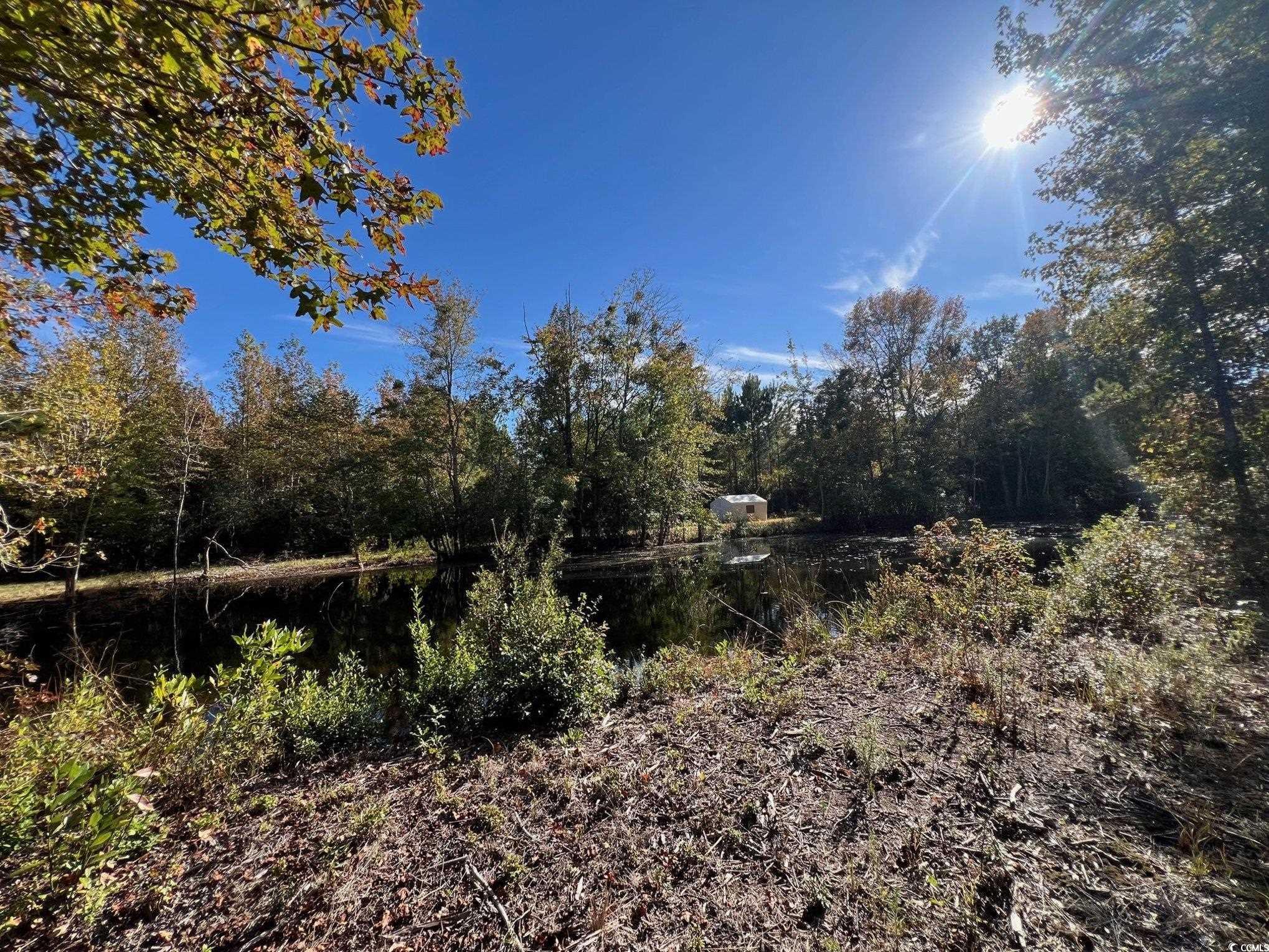 Tbd Sand Plant Road Nichols, SC 29581 - Photo 29 of 39