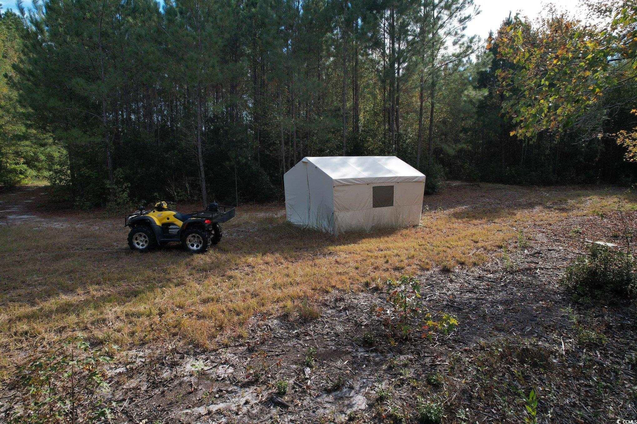 Tbd Sand Plant Road Nichols, SC 29581 - Photo 30 of 39