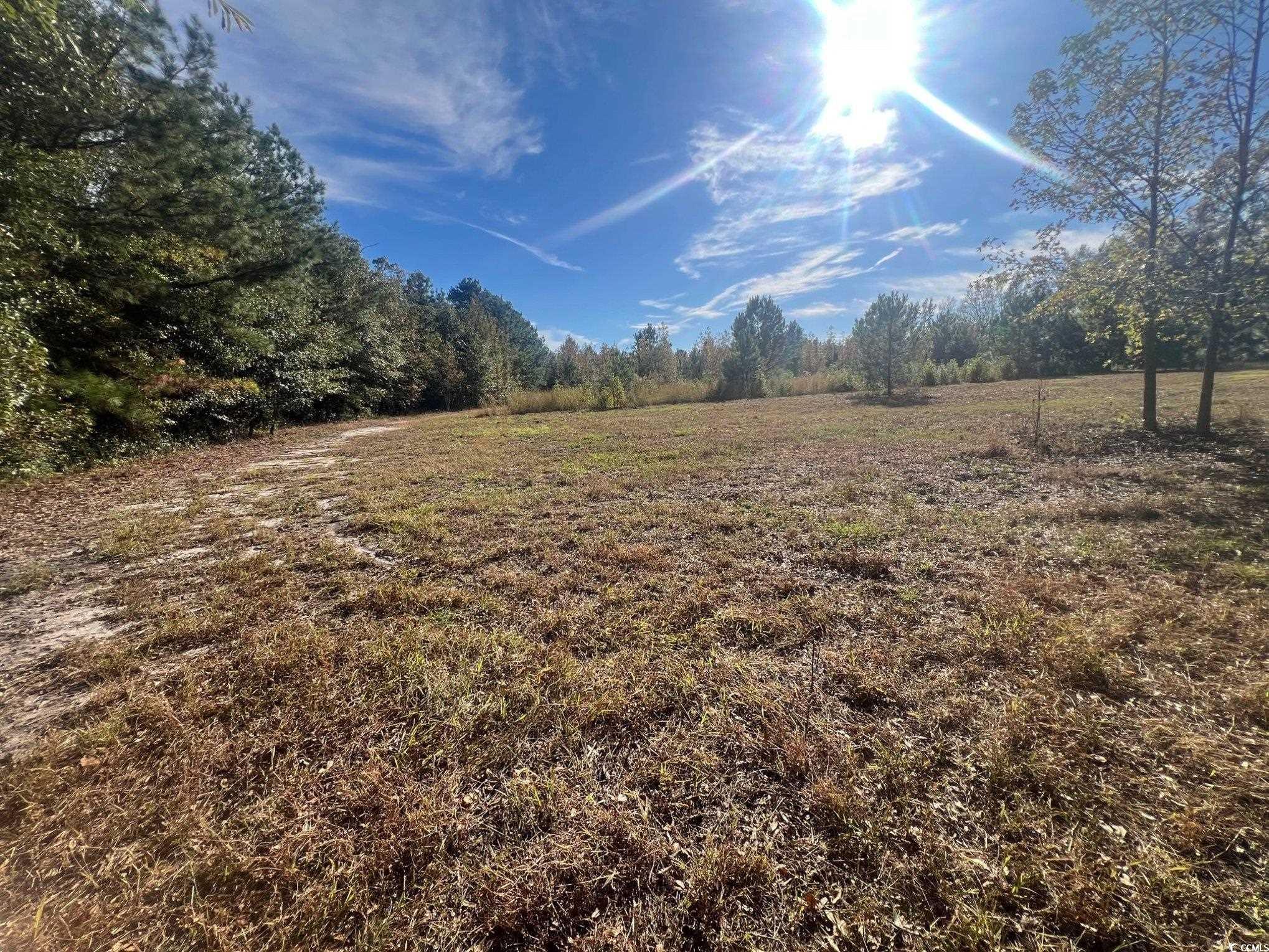 Tbd Sand Plant Road Nichols, SC 29581 - Photo 32 of 39