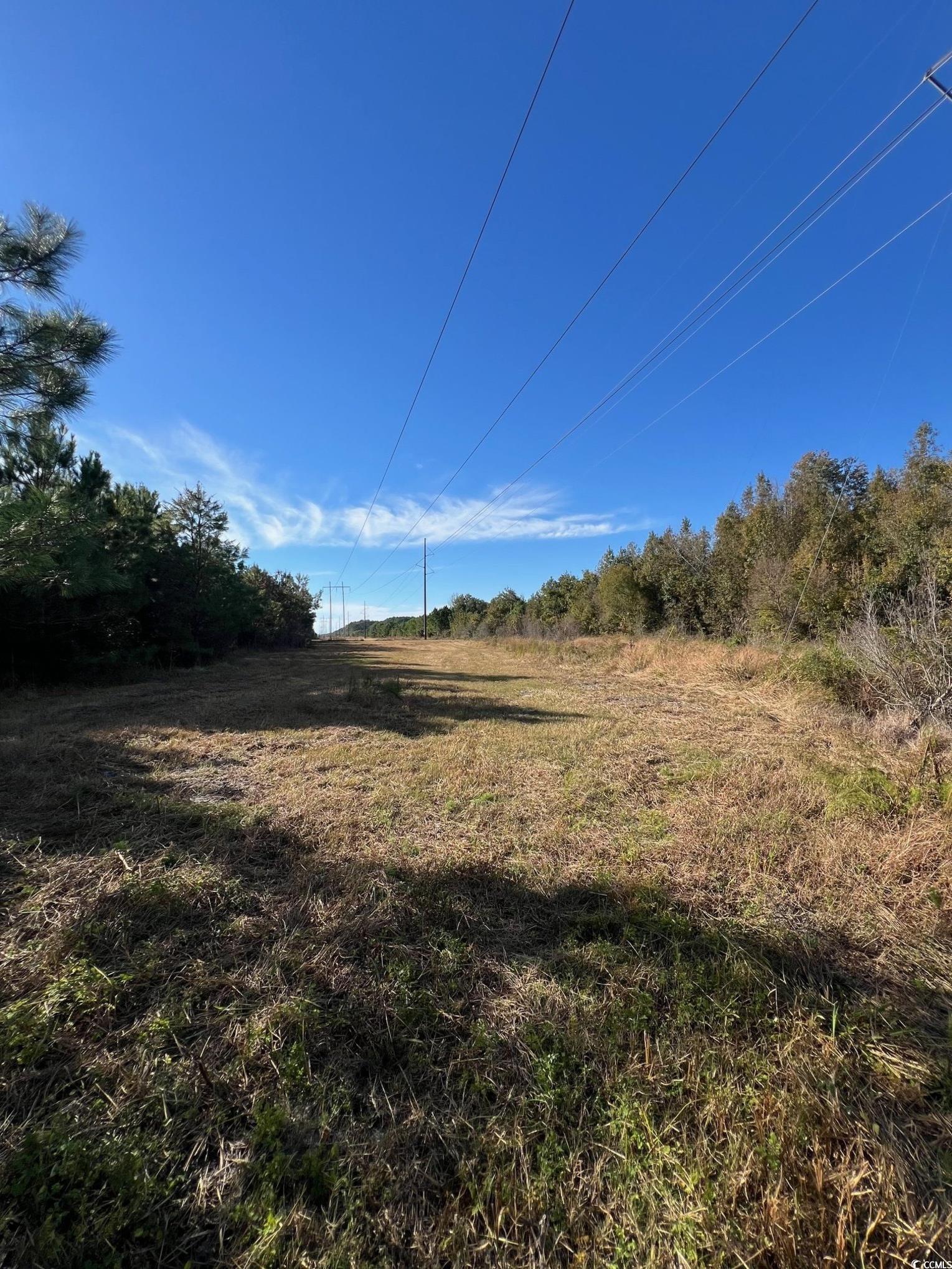 Tbd Sand Plant Road Nichols, SC 29581 - Photo 33 of 39
