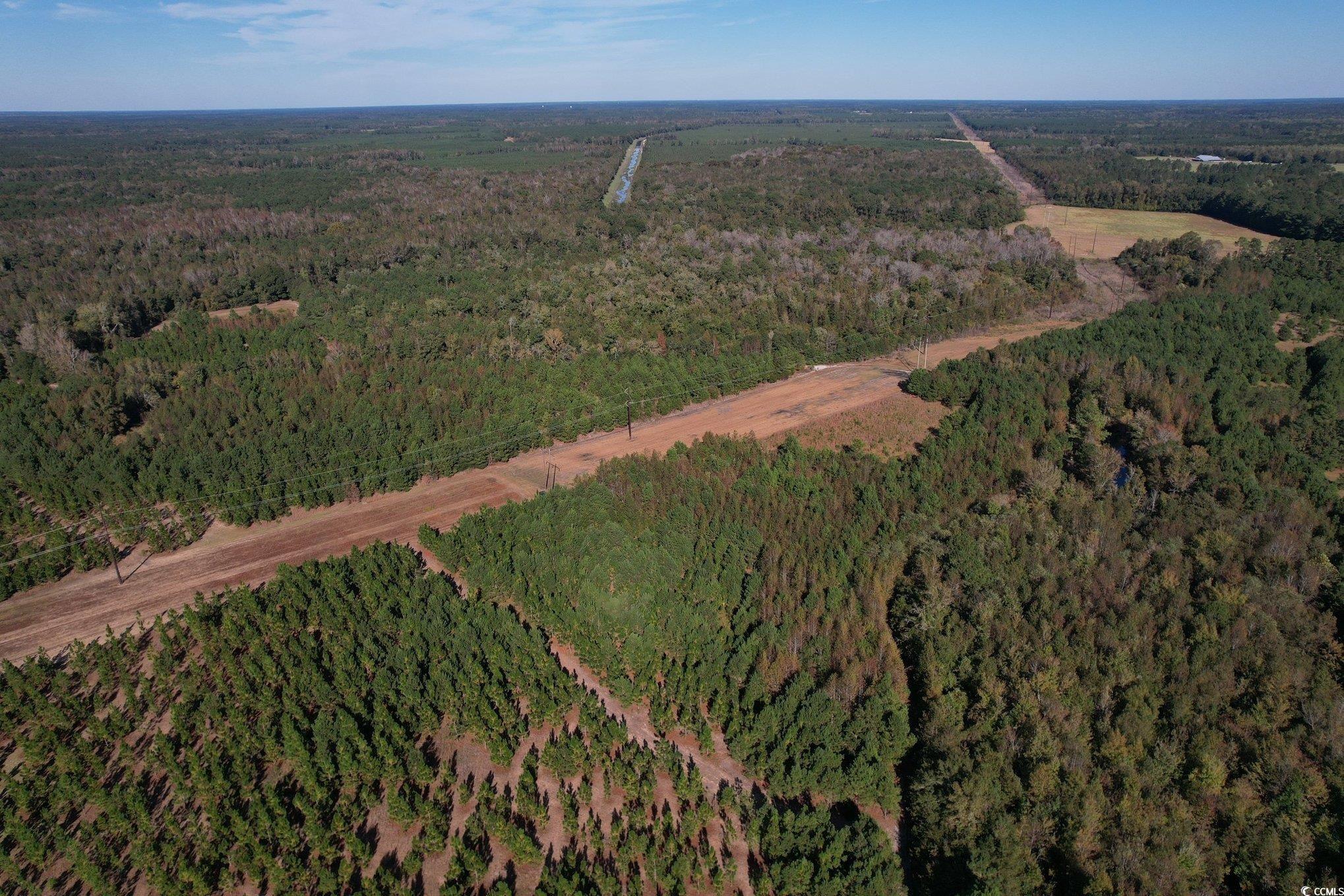 Tbd Sand Plant Road Nichols, SC 29581 - Photo 34 of 39