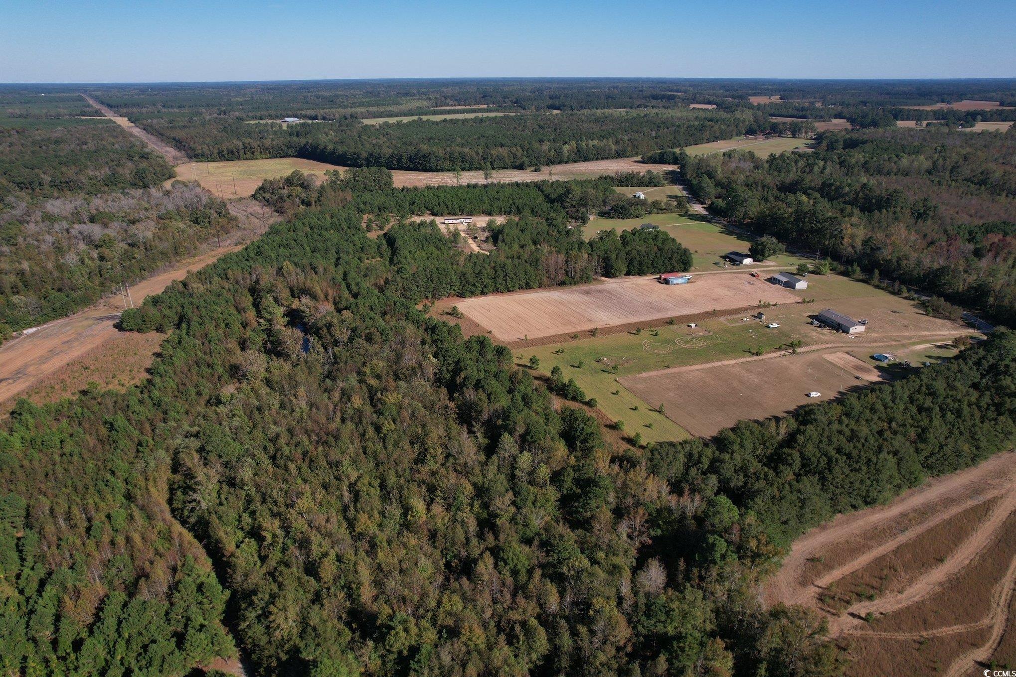 Tbd Sand Plant Road Nichols, SC 29581 - Photo 35 of 39