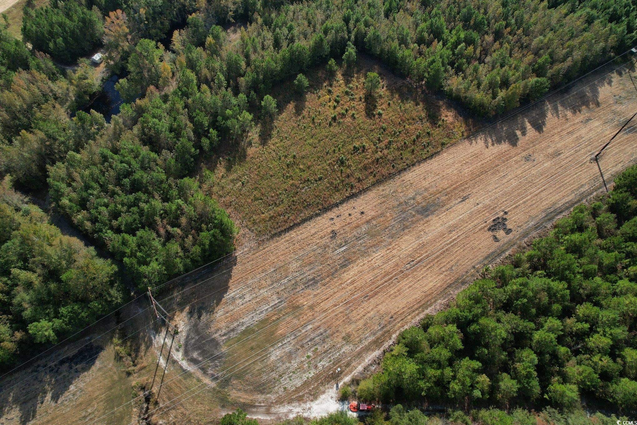 Tbd Sand Plant Road Nichols, SC 29581 - Photo 4 of 39