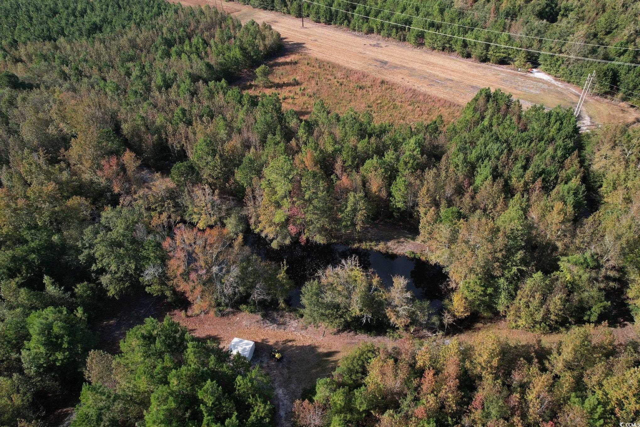 Tbd Sand Plant Road Nichols, SC 29581 - Photo 5 of 39
