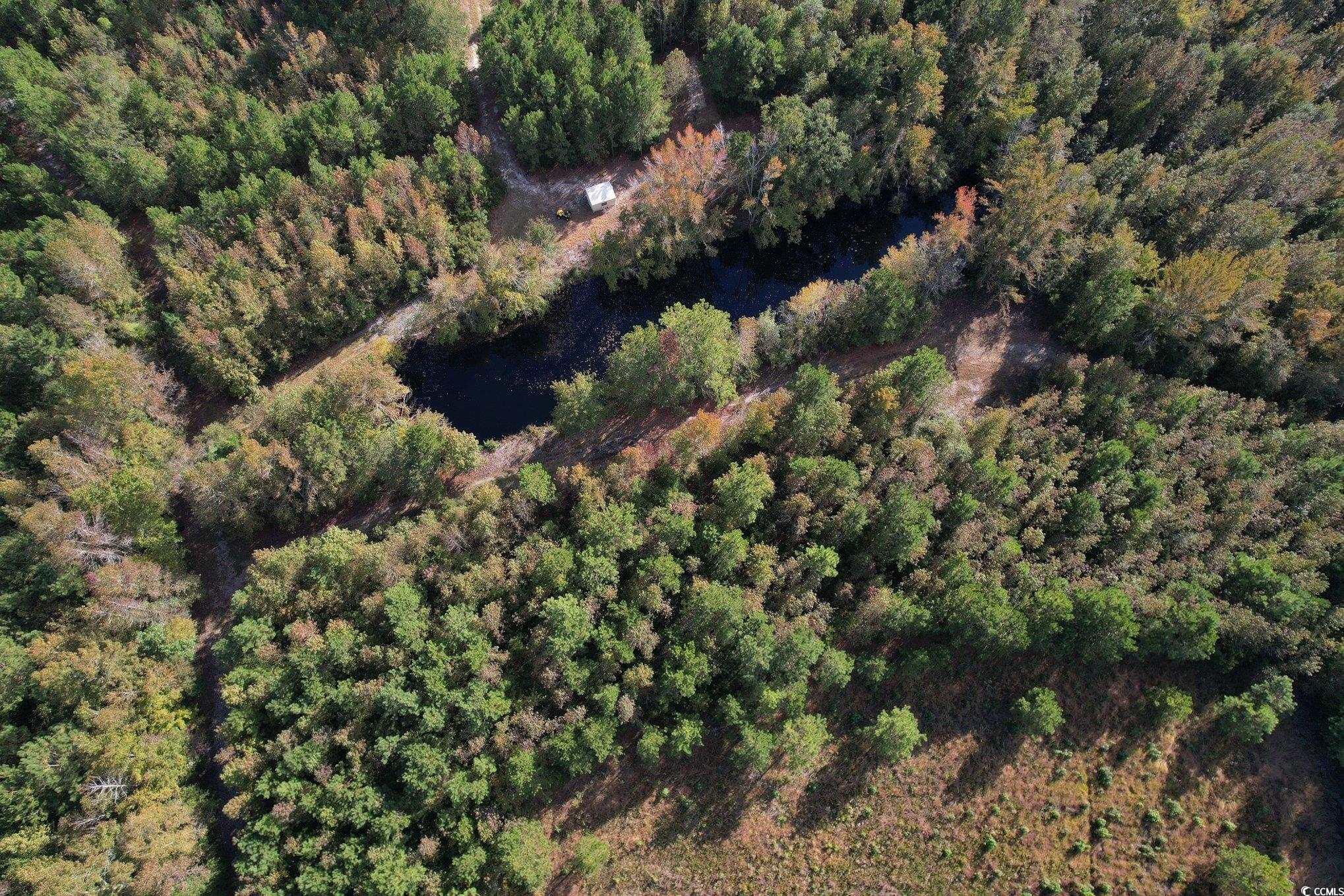 Tbd Sand Plant Road Nichols, SC 29581 - Photo 6 of 39