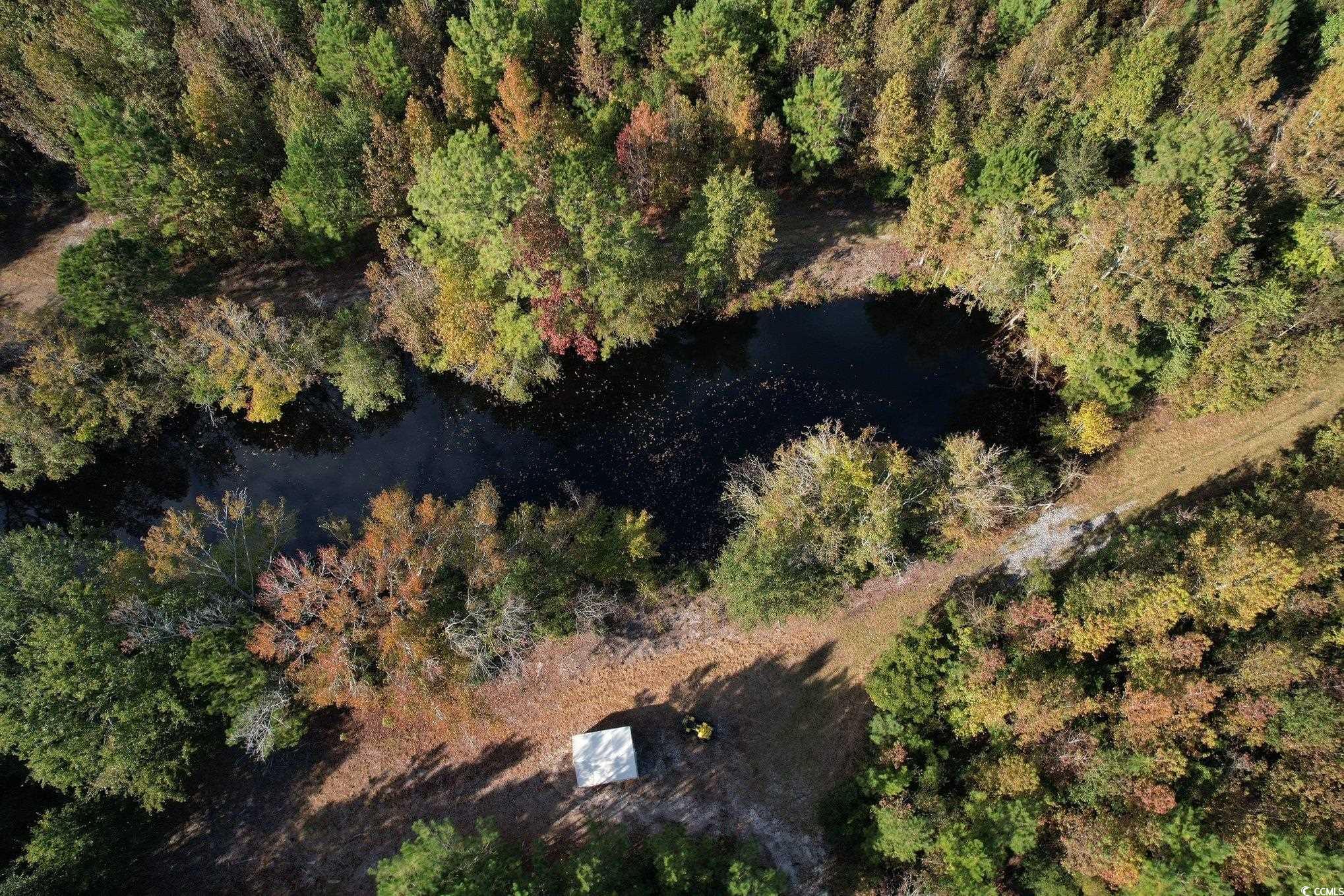 Tbd Sand Plant Road Nichols, SC 29581 - Photo 7 of 39