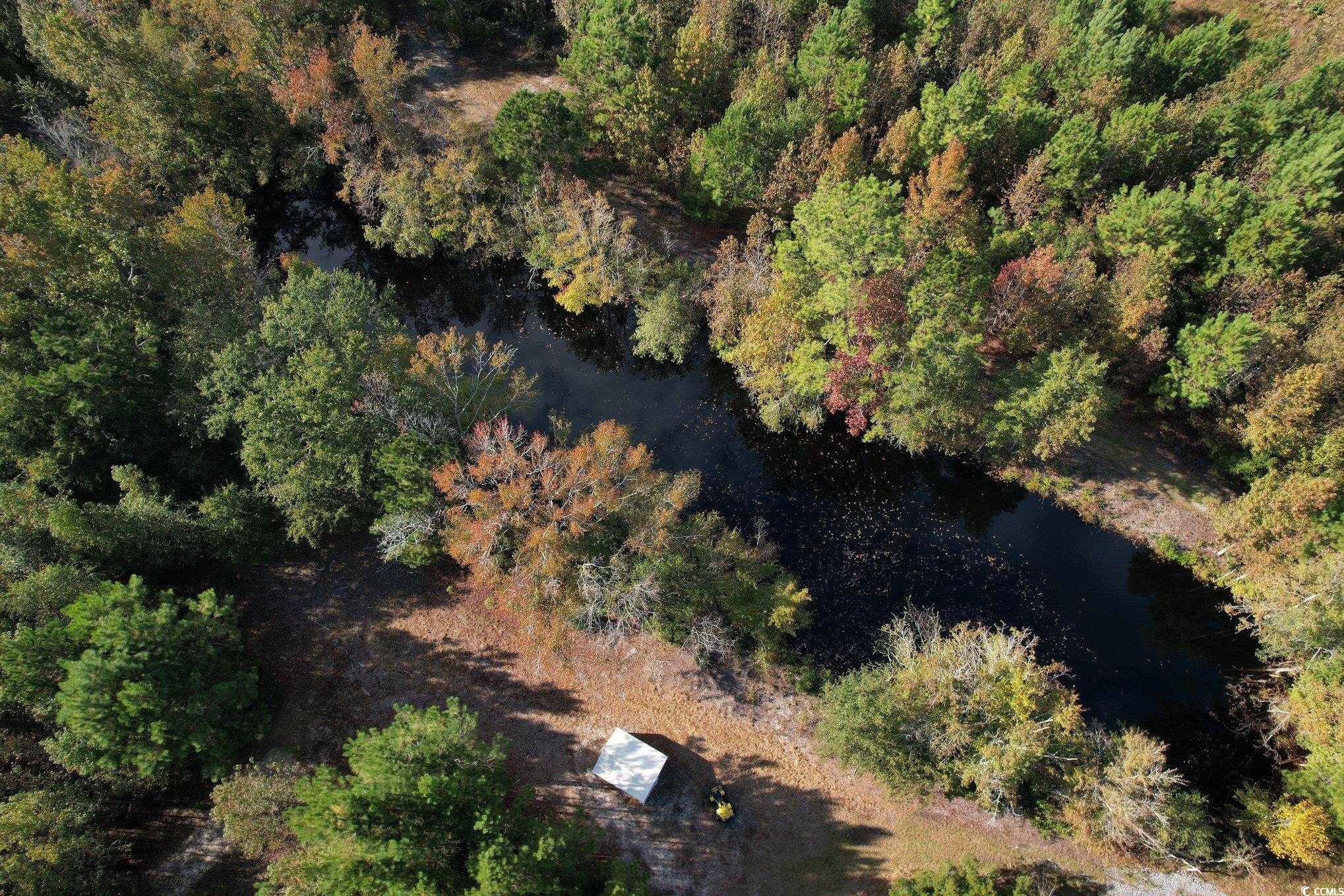 Tbd Sand Plant Road Nichols, SC 29581 - Photo 8 of 39