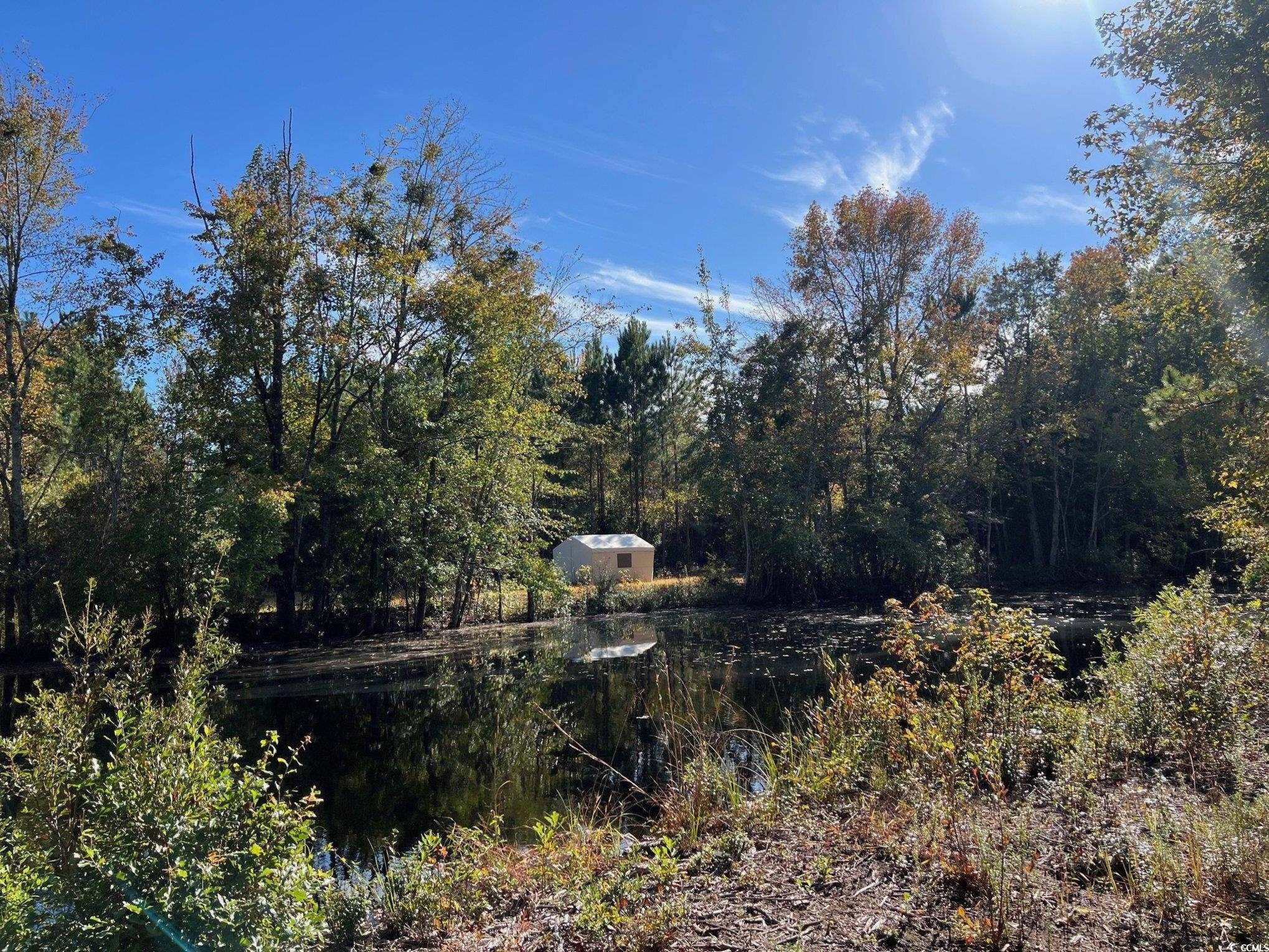 Tbd Sand Plant Road Nichols, SC 29581 - Photo 9 of 39