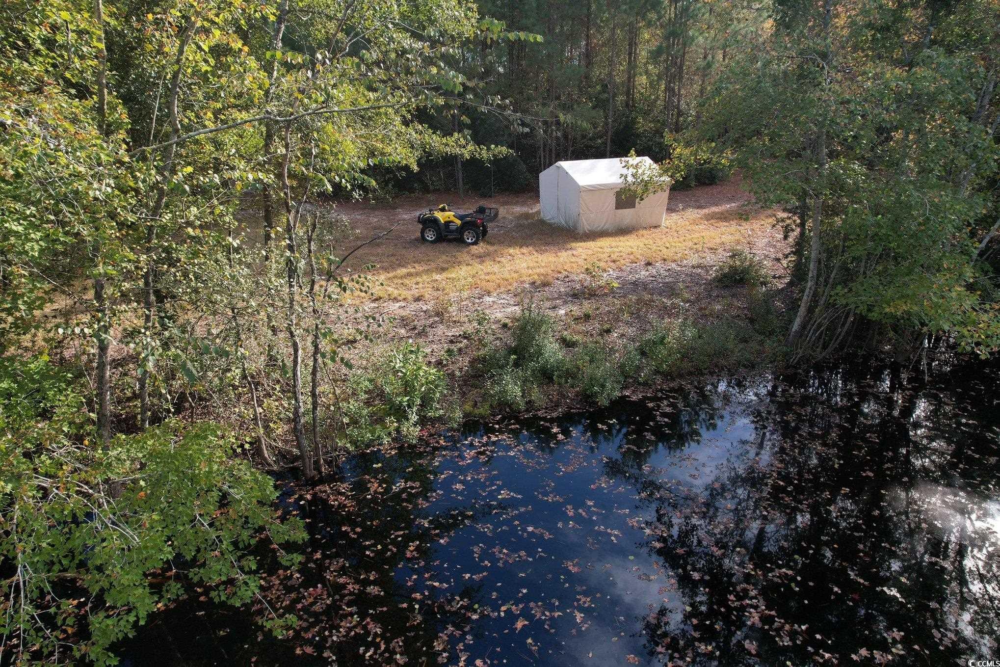 Tbd Sand Plant Road Nichols, SC 29581 - Photo 10 of 39