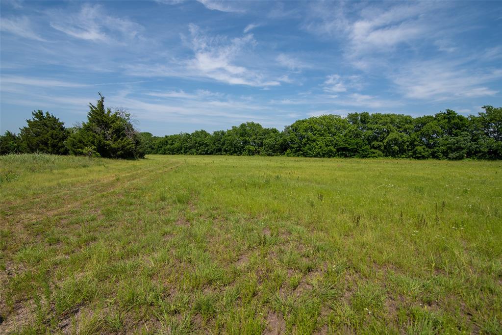 31.062 Ballard Road Van Alstyne, TX 75495 - Photo 11 of 11 a view of yard with green space and trees in the background