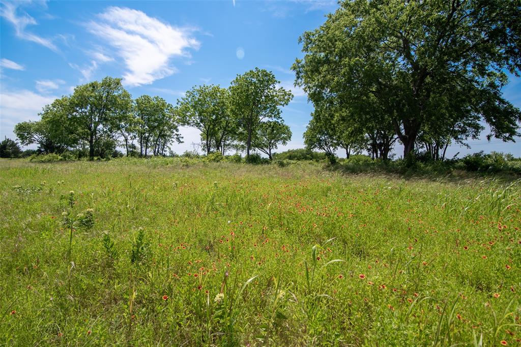 31.062 Ballard Road Van Alstyne, TX 75495 - Photo 8 of 11 a view of yard with green space