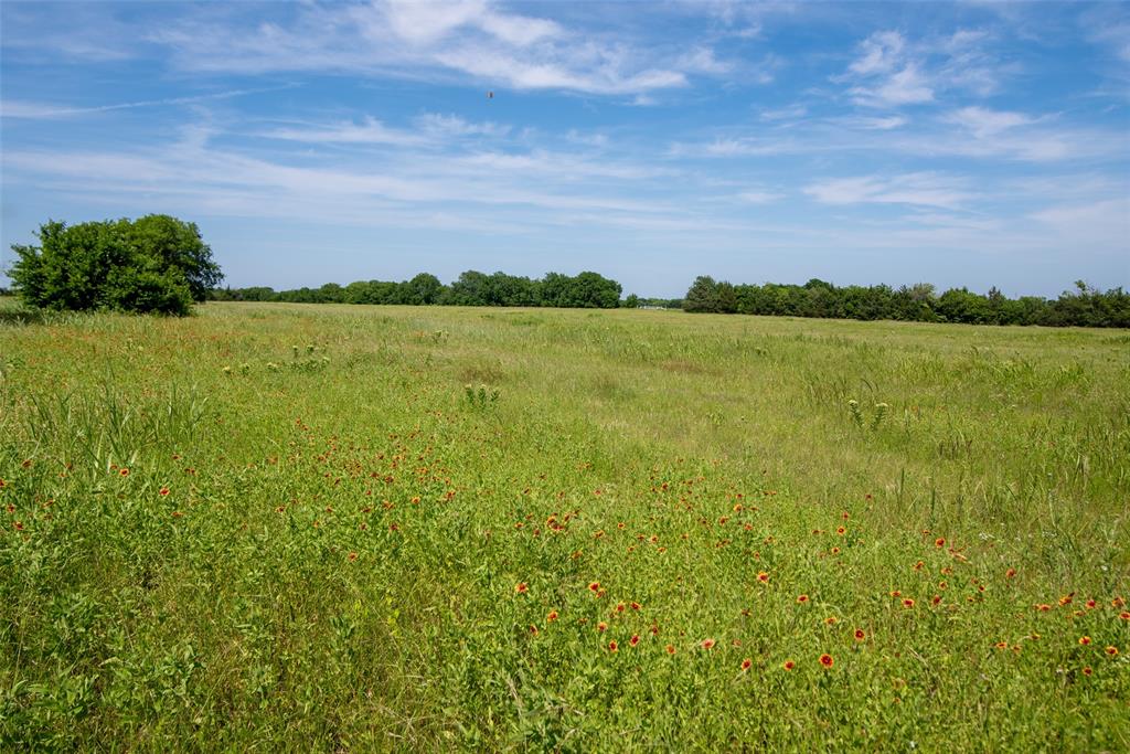 31.062 Ballard Road Van Alstyne, TX 75495 - Photo 9 of 11 a view of yard with ocean view