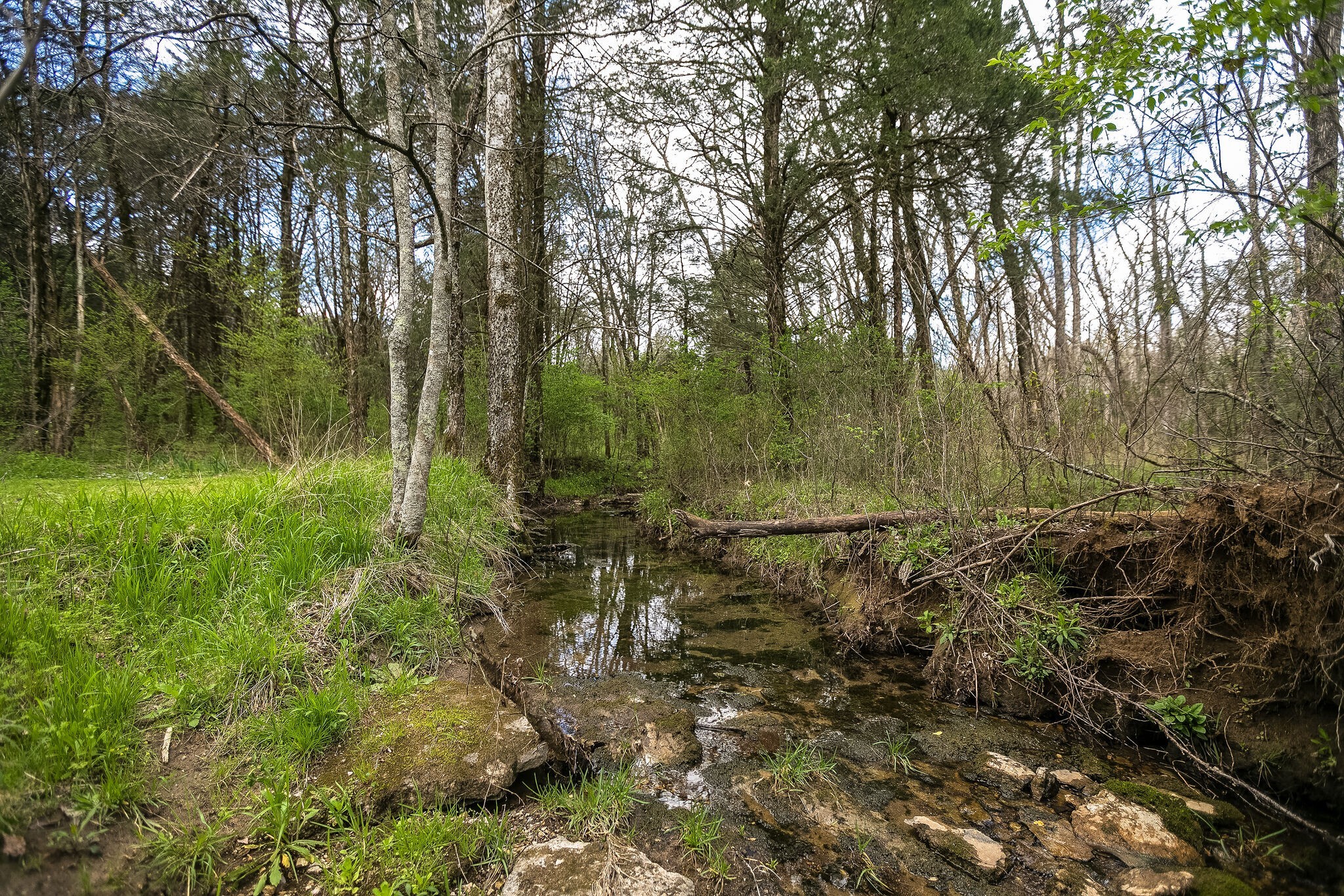 6650 Flat Creek Road Spring Hill, TN 37174 - Photo 29 of 37 Gallery Image 29