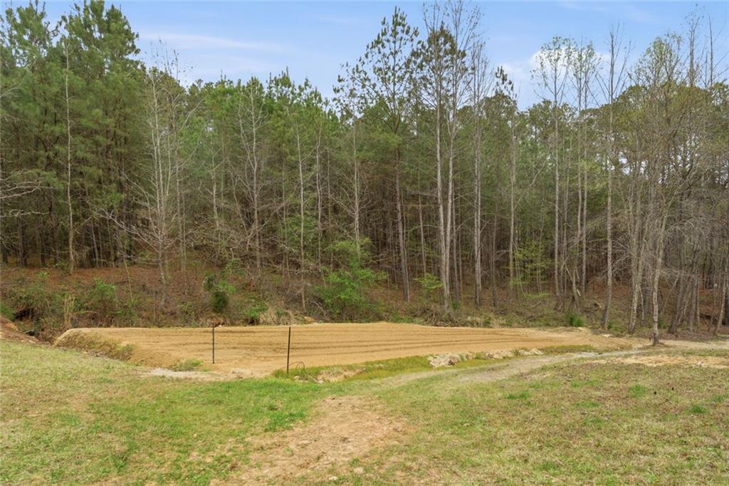 34 Rock Hole Path Dallas, GA 30132 - Photo 37 of 41 a view of a bathroom with a small pool