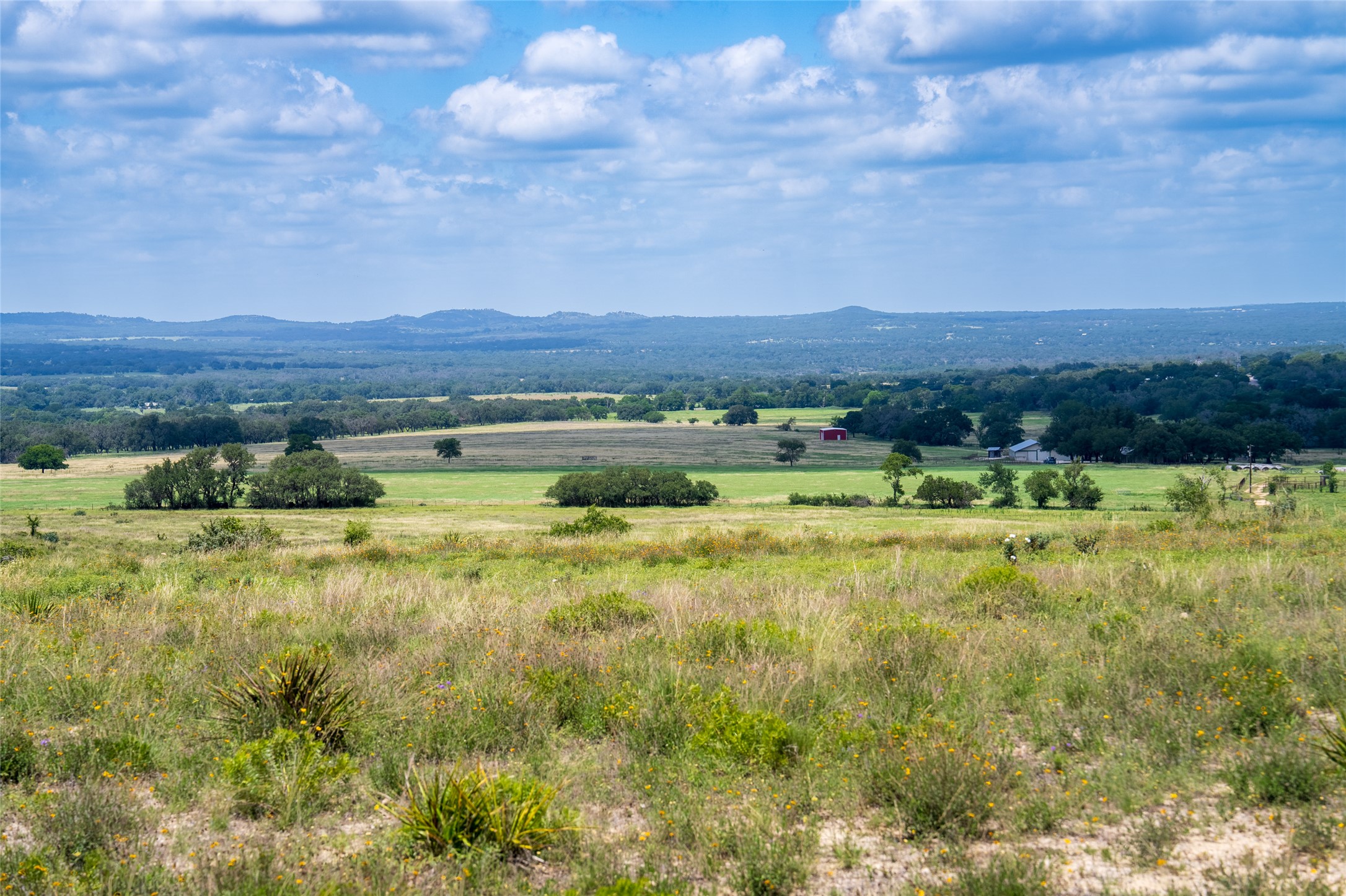 302 Hye-Albert Road Hye, TX 78635 - Photo 17 of 34 a view of green field with trees in the background