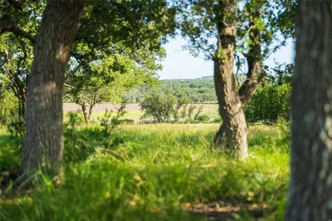 a view of a yard with an outdoor space