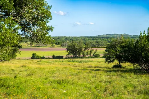 a view of big yard with large trees
