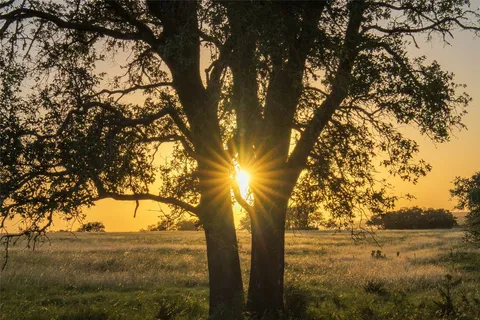 a view of a lake with houses in the background