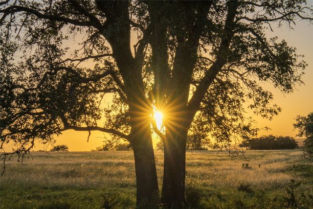 a view of a lake with houses in the background